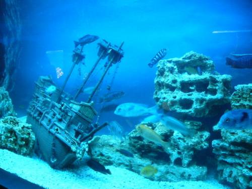 Затонувший корабль для аквариума